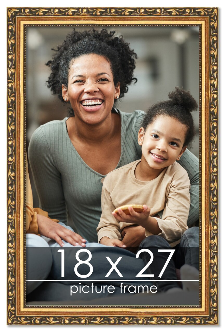 18x27 Museum-Quality Picture Frame with UV-Resistant Acrylic & Acid-Free Backing, Available in 4 Finishes - Gold, Silver, Bronze, and Black